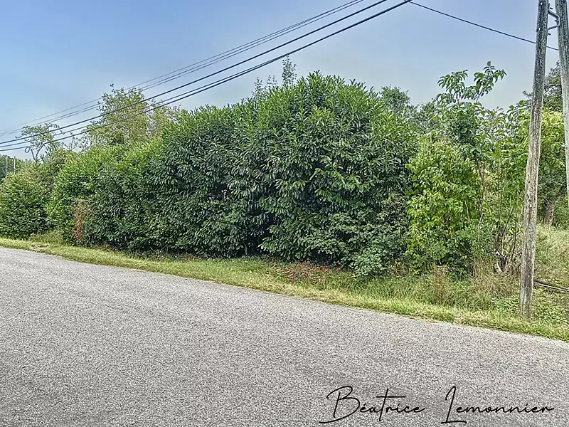 Terrain, 1 380 m²