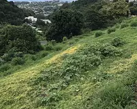Terrain, 3 074 m²