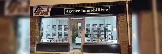 BSI IMMOBILIER