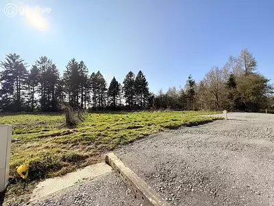 Terrain