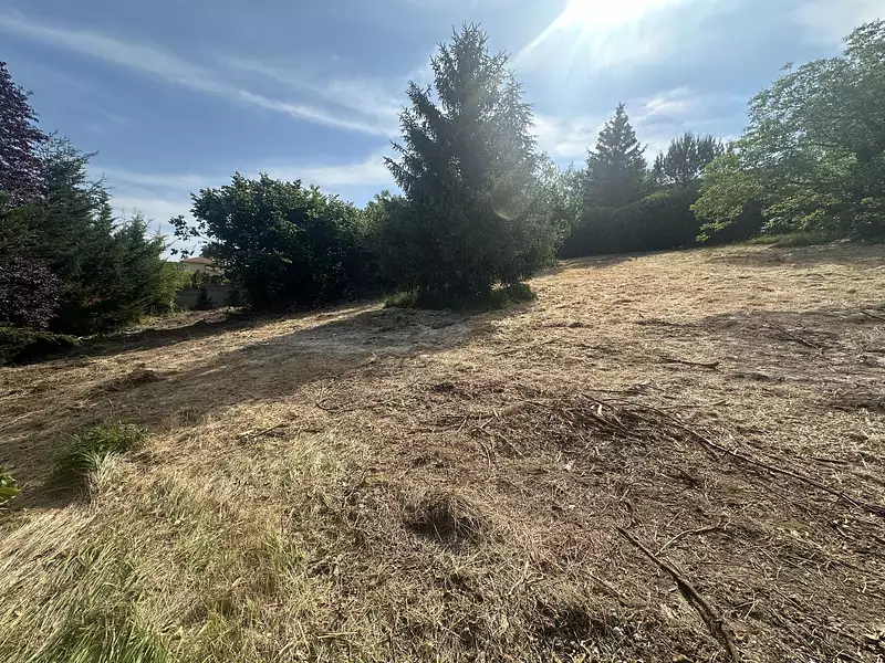 Terrain, 1 556 m²