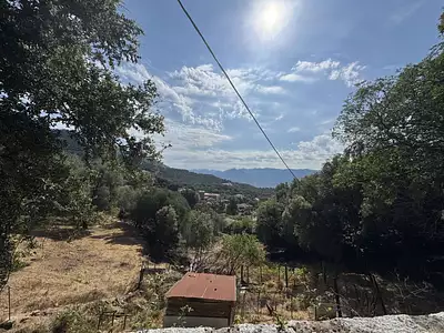 Terrain, 1 279 m²