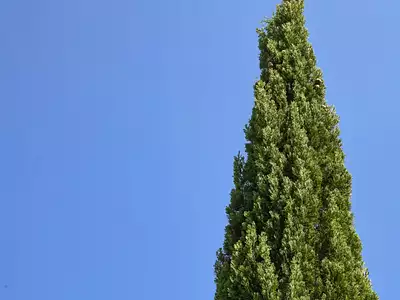 Maison, 200 m²