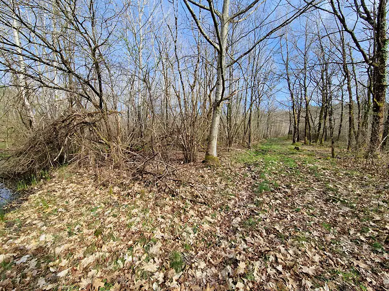 Terrain, 22 911 m²