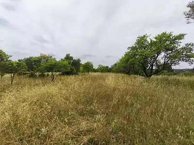 Terrain, 3 690 m²