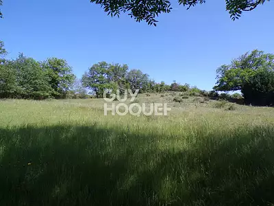 Terrain, 7 042 m²