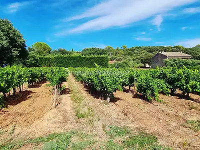 Terrain, 1 537 m²