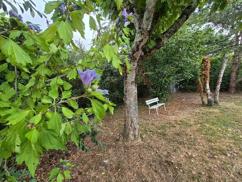 Maison, 150 m²