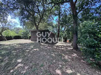 Terrain, 501 m²