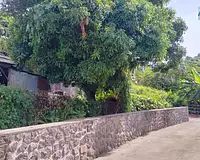 Terrain