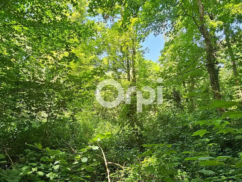 Terrain, 2 415 m²
