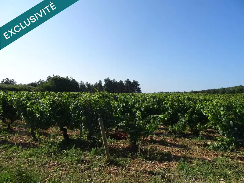 Terrain, 2 800 m²