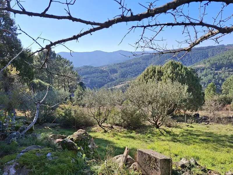 Maison, 230 m²