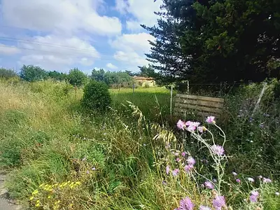 Terrain, 3 475 m²