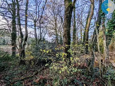 Terrain, 1 716 m²