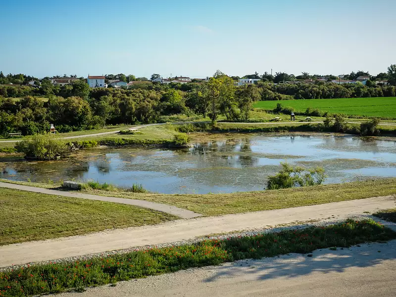 Terrain, 460 m²