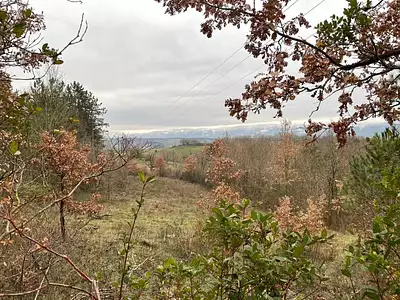 Terrain, 10 750 m²