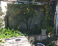 Maison, 195 m²