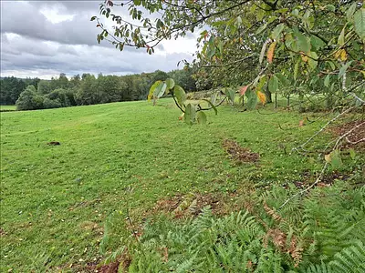Terrain, 2 875 m²