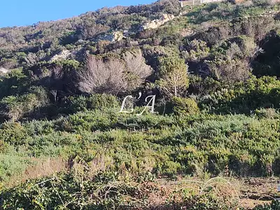 Terrain, 2 060 m²