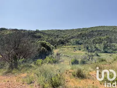 Terrain, 263 365 m²