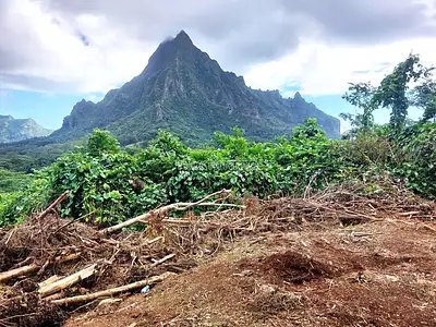 Terrain, 3 500 m²