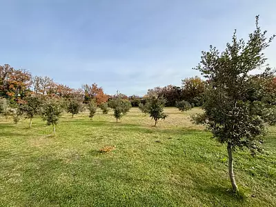 Terrain, 1 205 m²