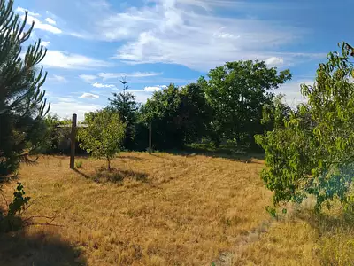 Terrain, 990 m²
