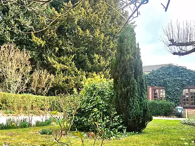 Maison, 200 m²