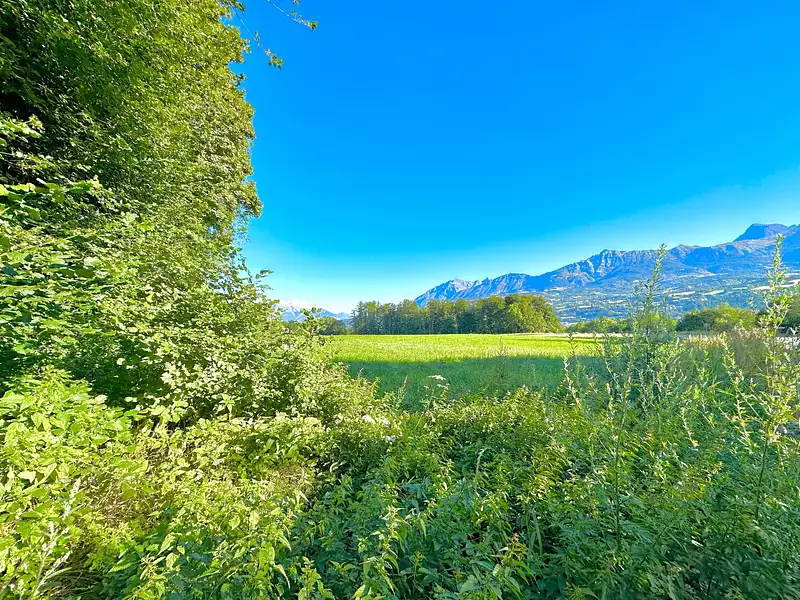 Terrain, 3 358 m²