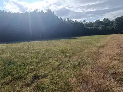 Terrain, 6 704 m²