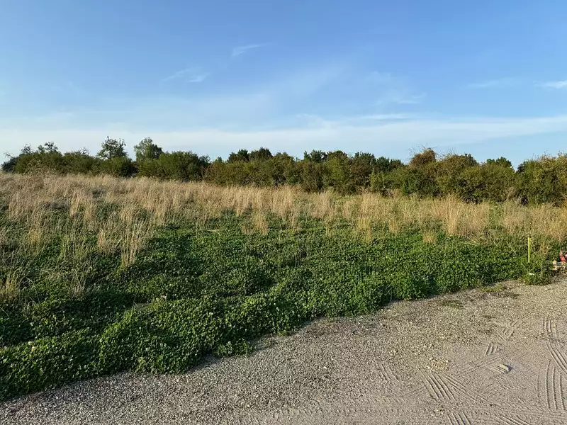 Terrain, 606 m²
