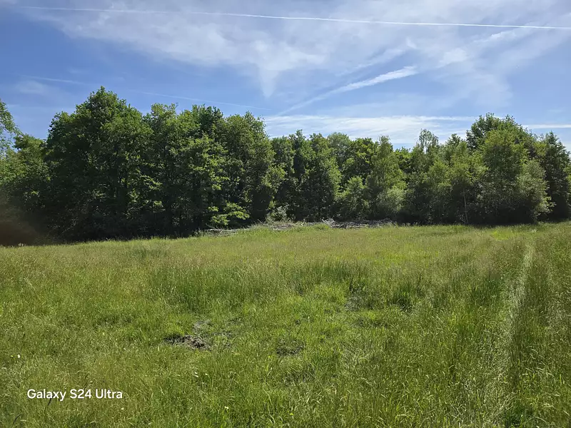 Terrain, 231 782 m²