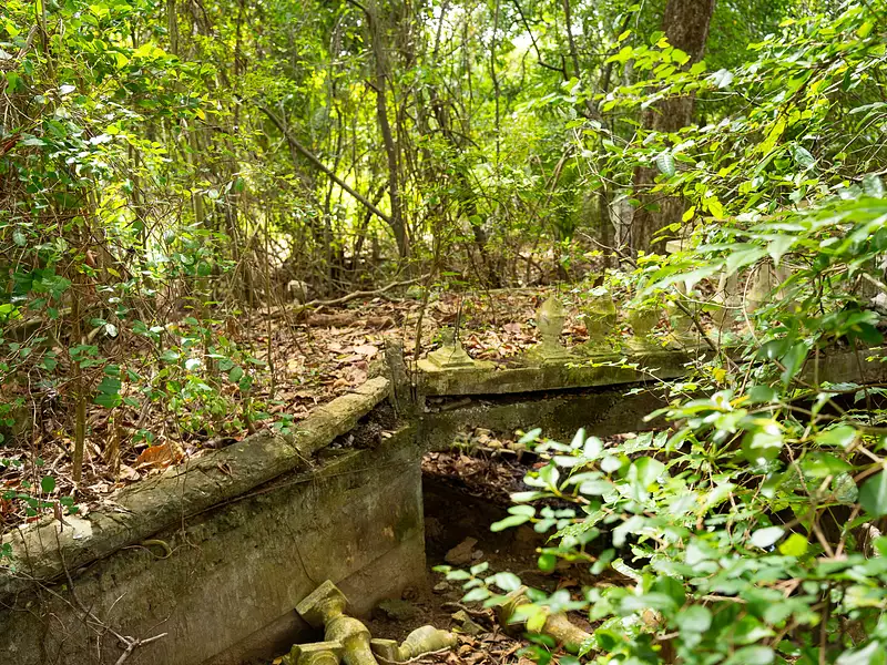 Terrain, 10 000 m²