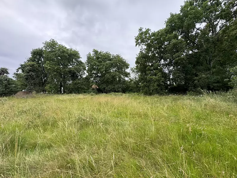 Terrain, 1 233 m²