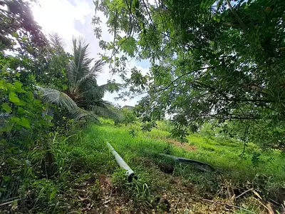 Terrain, 922 m²