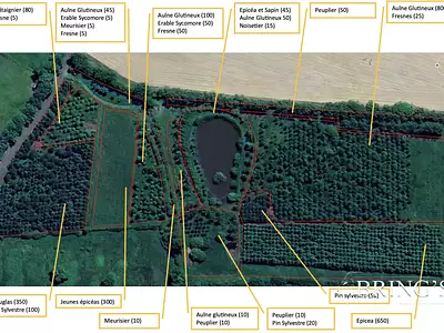 Terrain, 47 800 m²
