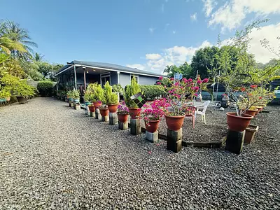 Maison, 80 m²