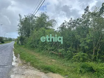 Terrain, 1 400 m²