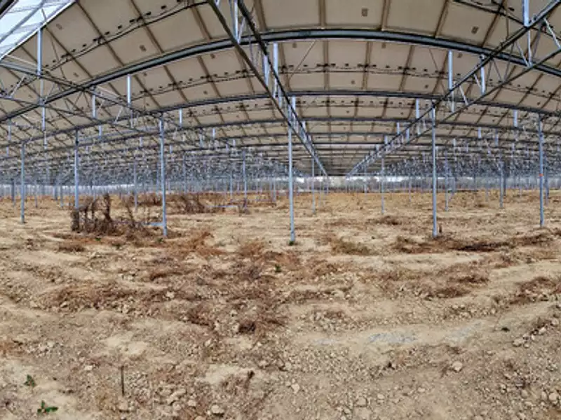 Terrain, 120 000 m²