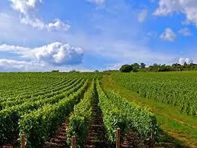 Terrain, 128 620 m²