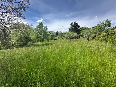 Terrain, 1 000 m²