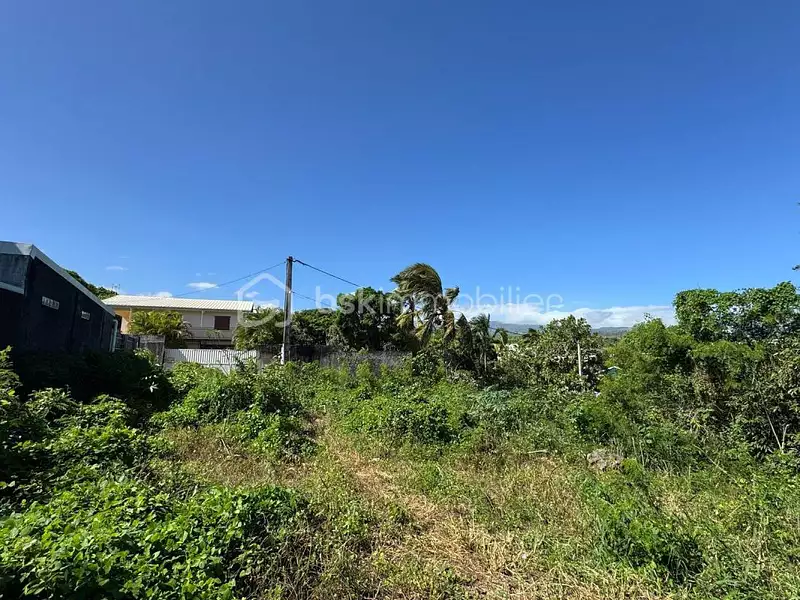 Terrain, 709 m²