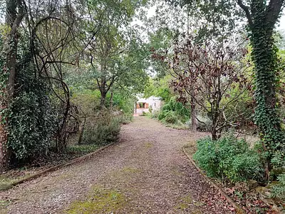 Maison, 226 m²