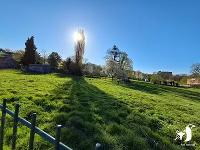 Terrain, 850 m²