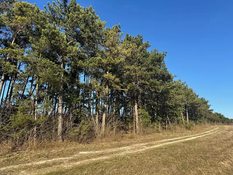 Terrain, 90 162 m²