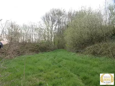 Terrain, 80 000 m²