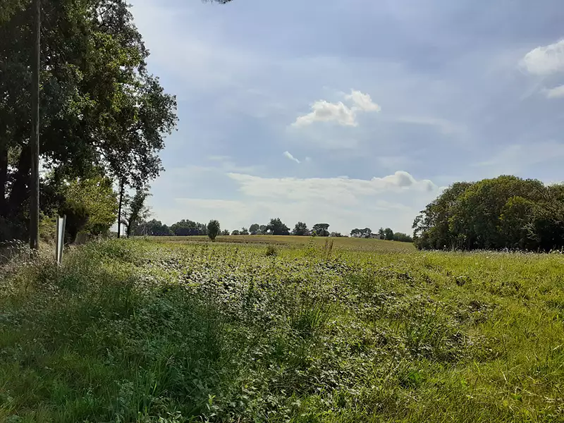 Terrain, 1 747 m²