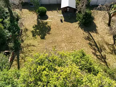 Terrain, 727 m²