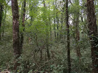 Terrain, 33 821 m²